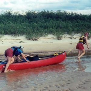 Meet your Posher, Heidi